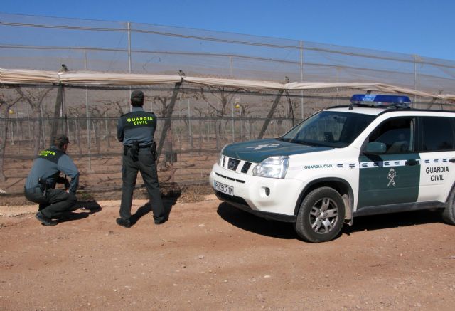 La Guardia Civil desmantela un grupo delictivo dedicado a la sustracción de fruta en Totana