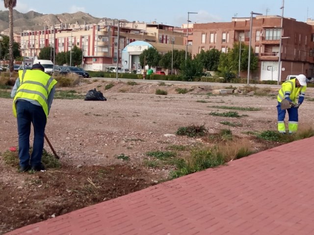 Un total de 75 peones agrícolas comienzan hoy el primer turno del programa de los Consejos Comarcales 2024/2025 en Totana