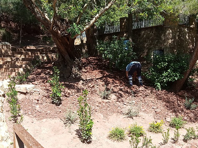 Brigada municipal: trabajos del 5 y 6 de mayo