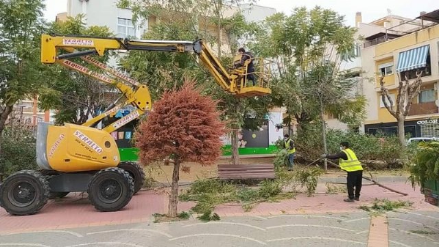 Licitan los trabajos de un plan de choque para realizar trabajos de podas y mejoras de jardinería en las zonas verdes de Totana