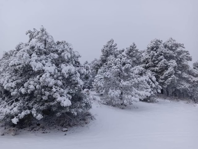 Se encuentra cerrado al tráfico el acceso a Sierra Espuña a la altura de Las Alquerías por la nieve