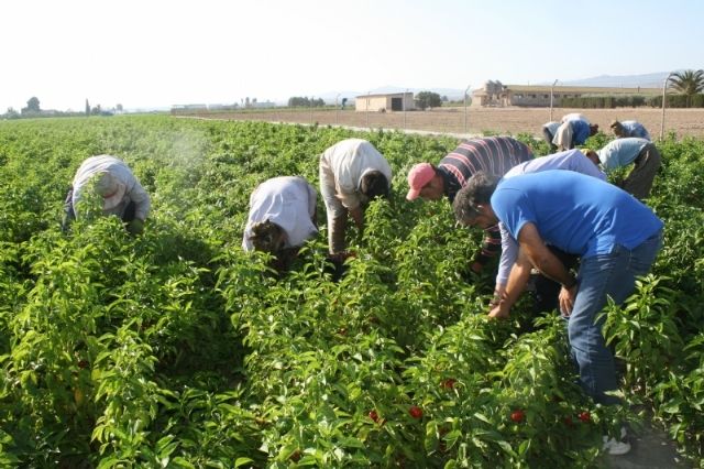 Se amplía hasta el próximo 24 de marzo el plazo para designar representantes en el nuevo Consejo Asesor Agrario y Ganadero