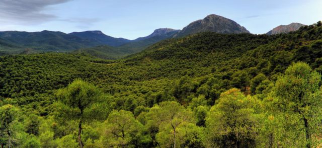 Ganar Totana defiende la Protección y Conservación de nuestros espacios naturales, como es el caso de Sierra Espuña