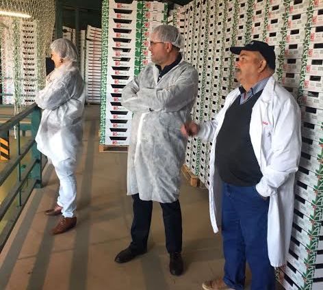 Autoridades municipales visitan la sociedad de comercialización de frutas y hortalizas 'Horfrusa, SL'