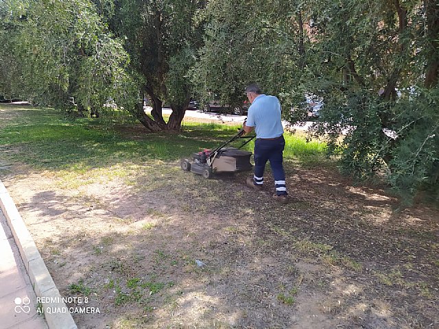 Brigada municipal: trabajos del 19 de agosto