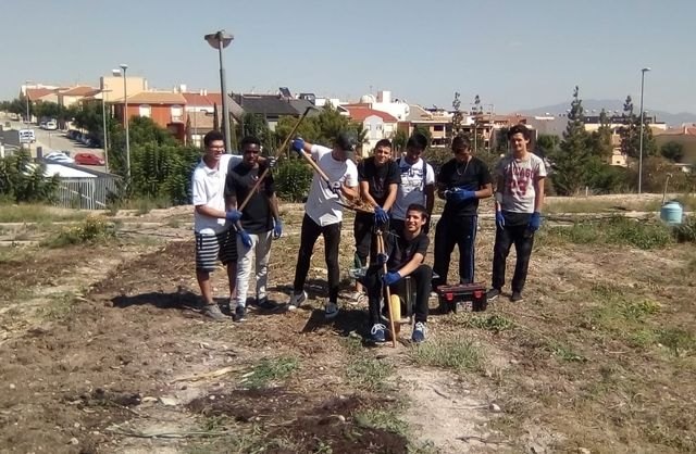 Un huerto urbano en Totana