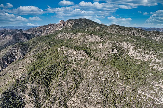 La Comunidad concluye la planificación de la gestión forestal sostenible de 17.140 hectáreas de los montes públicos de la Región