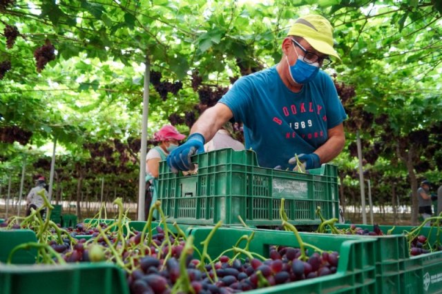 Aprueban un convenio con la Unión de Agricultores y Ganaderos del Bajo Guadalentín de Totana para impulsar la atención al público en asuntos sobre agricultura y ganadería