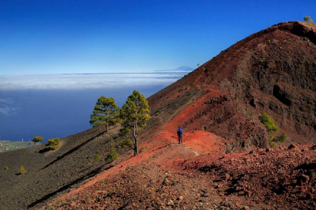 La palma, un mirador de la biosfera