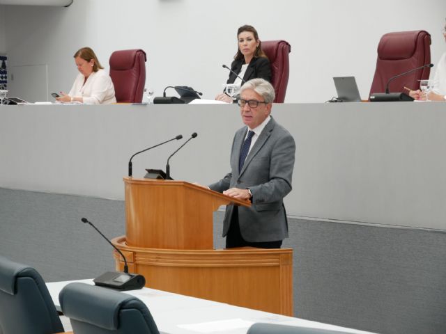 Miralles: 'Gracias a la iniciativa del PP, les hacemos la vida mejor a las personas con dependencia y sus familias, a quienes más nos necesitan'