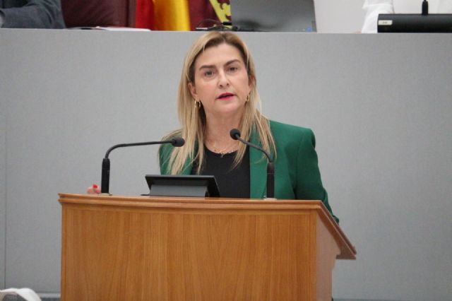 Carmina Fernández: 'El PP y Vox se oponen a proteger la salud de las personas y el medio ambiente al rechazar un plan de mejora de la calidad del aire'